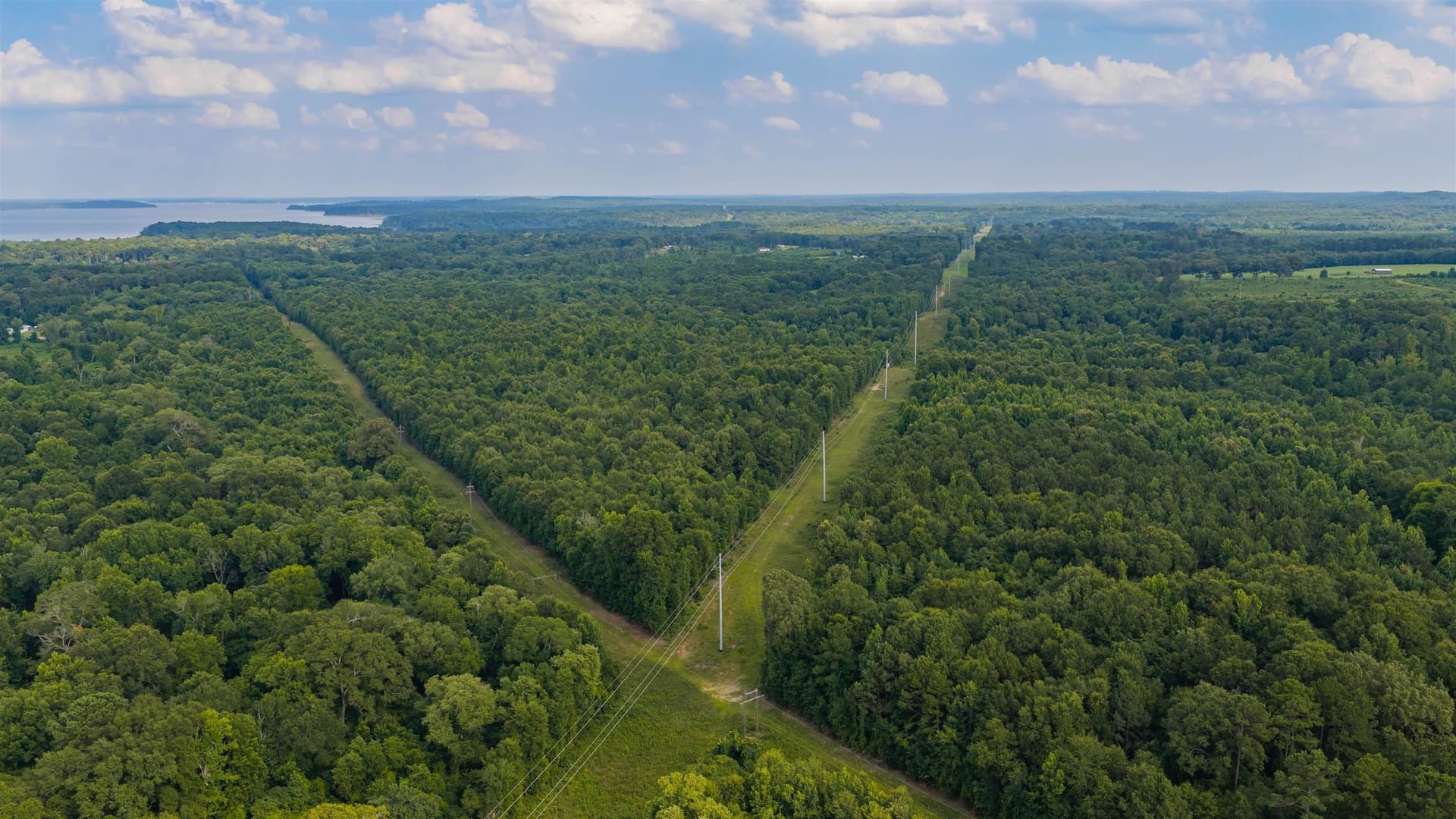 172 acres in Texas County - photo 15