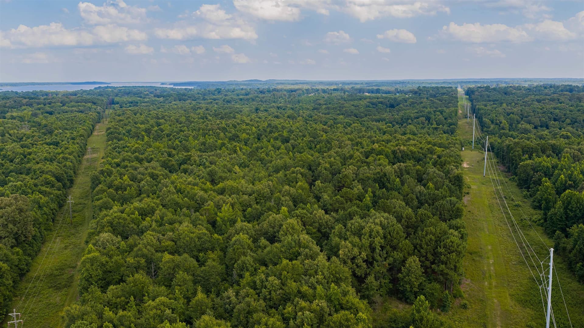 172 acres in Texas County - photo 17