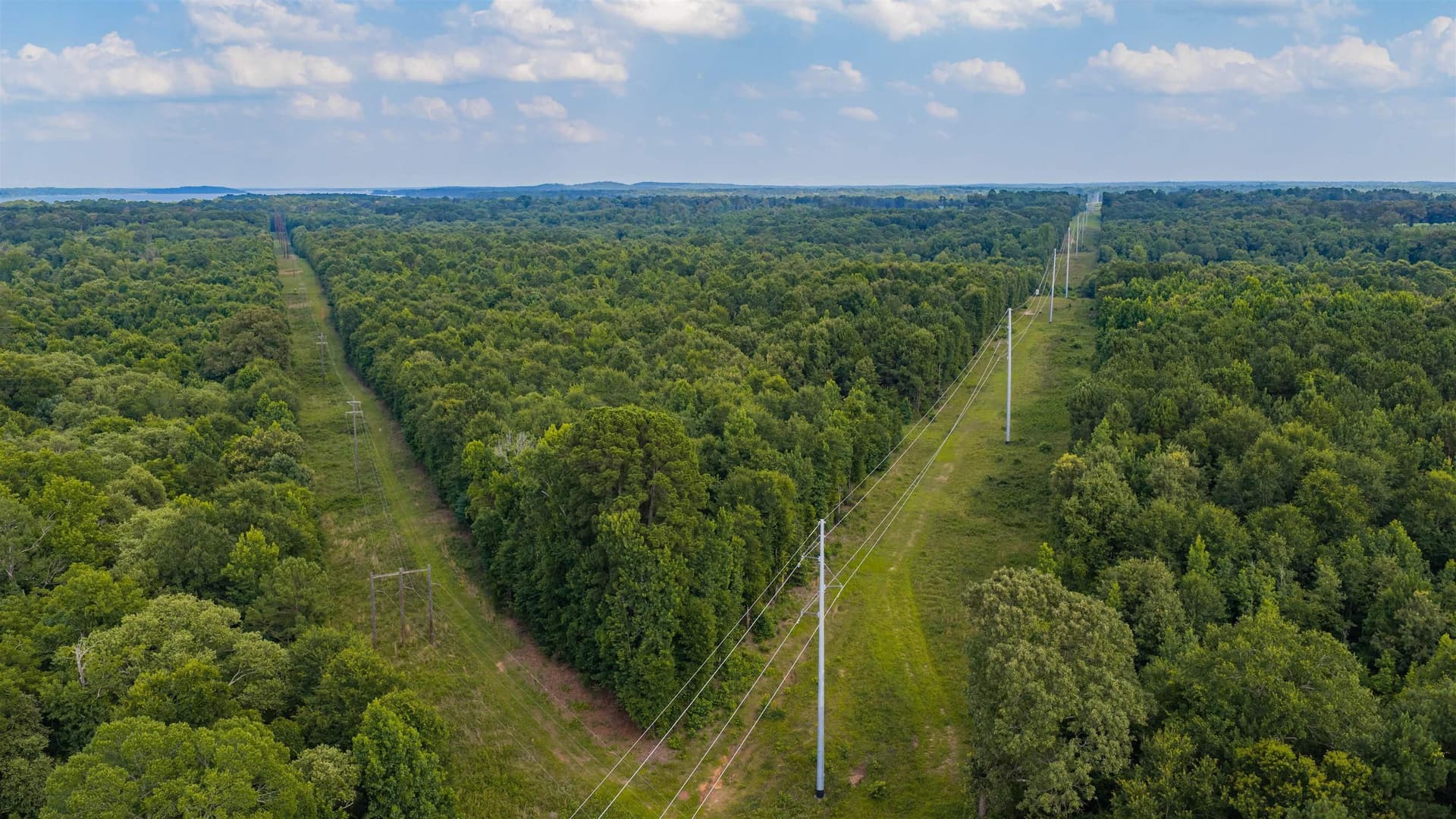 172 acres in Texas County - photo 16