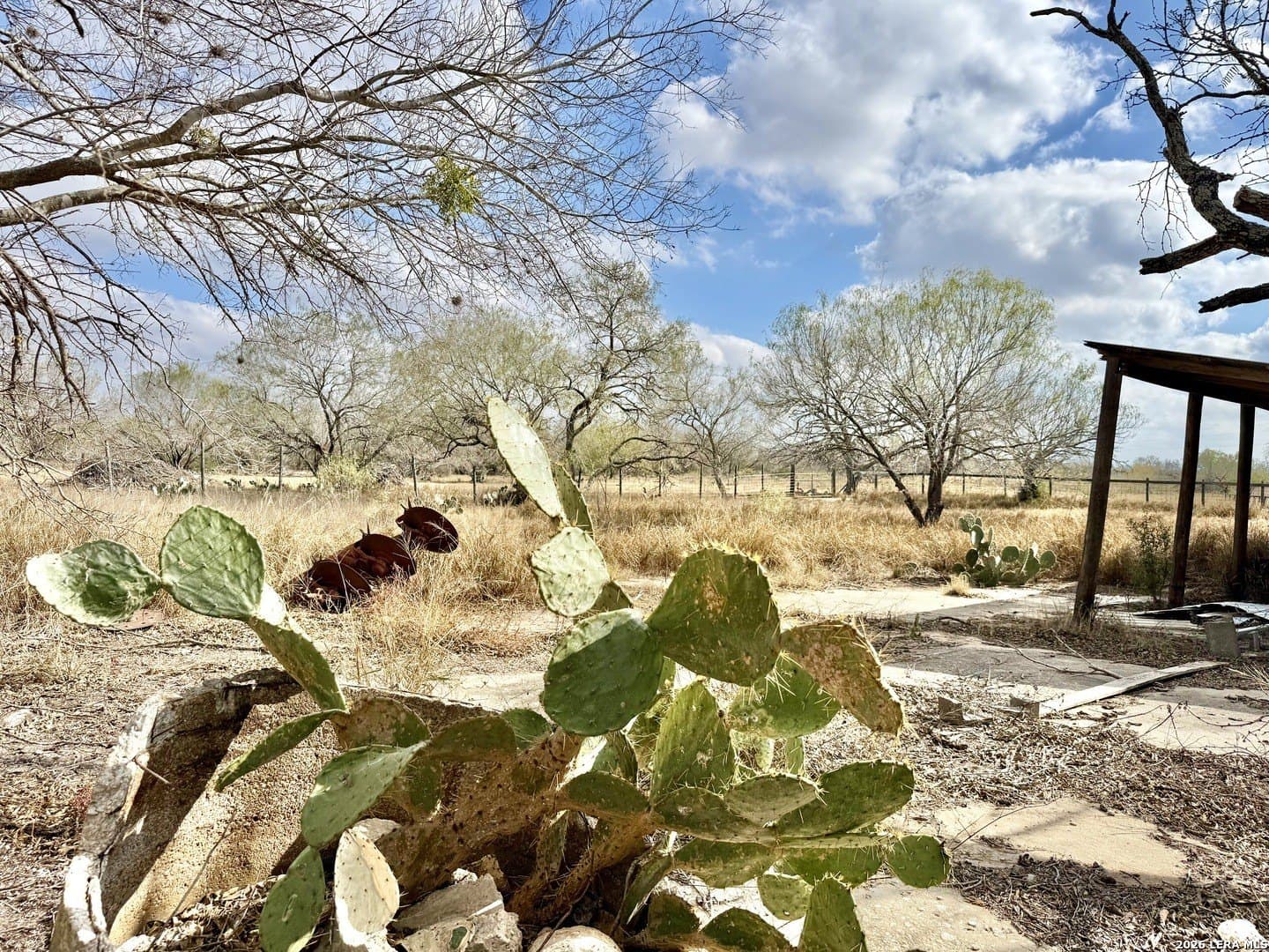 3.47 acres in Atascosa County - photo 20