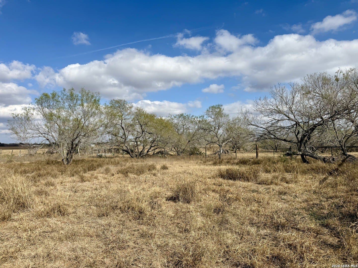 3.47 acres in Atascosa County - photo 13