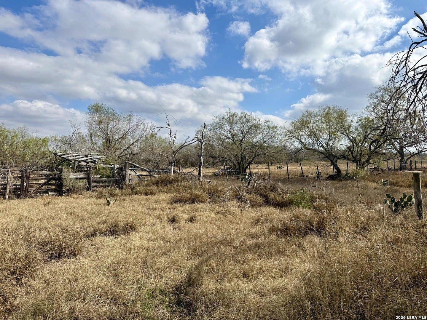 3.47 acres in Atascosa County - photo 19