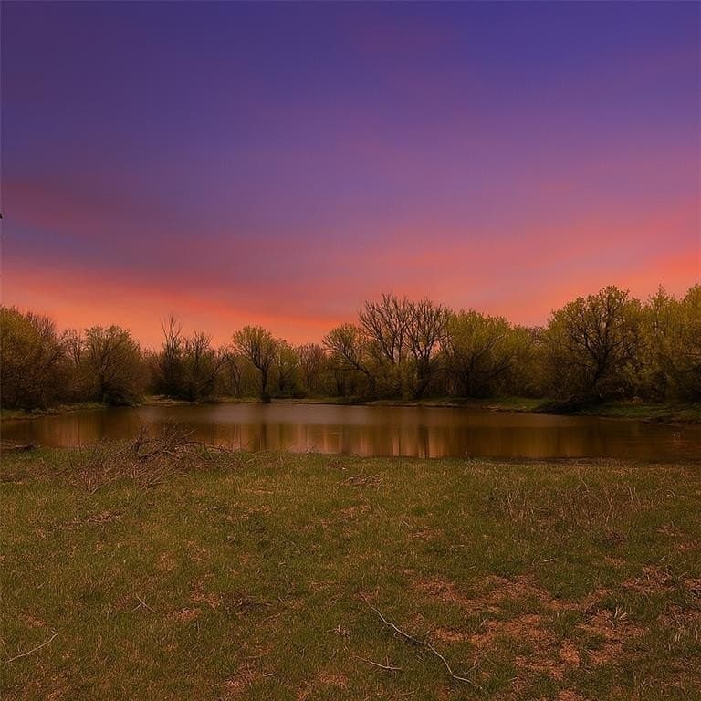 10 acres in Palo Pinto County gallery image 3