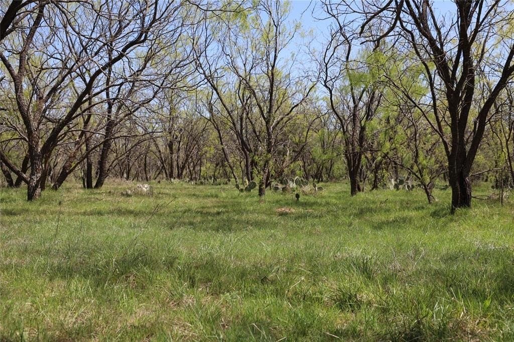 10 acres in Palo Pinto County gallery image 2