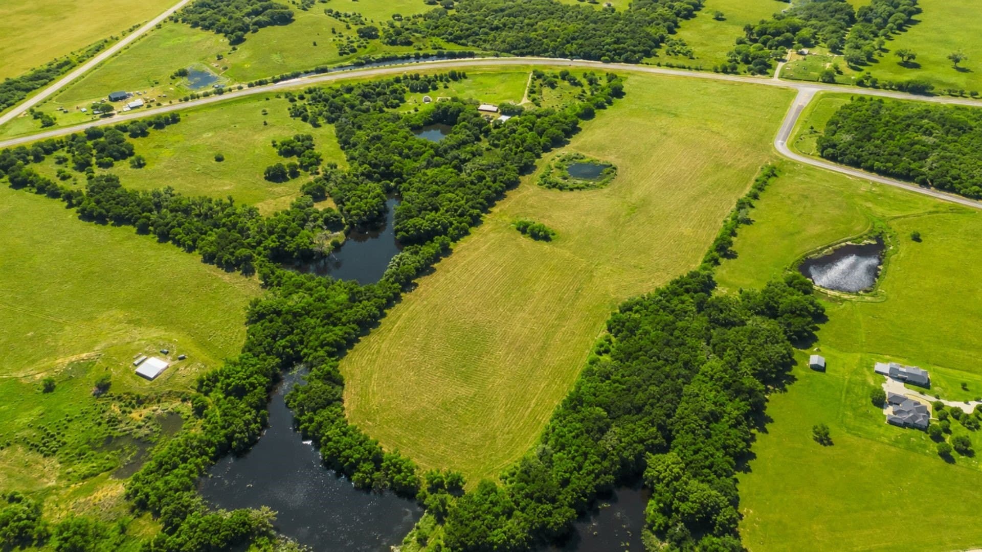 24.08 acres in Wood County - photo 4