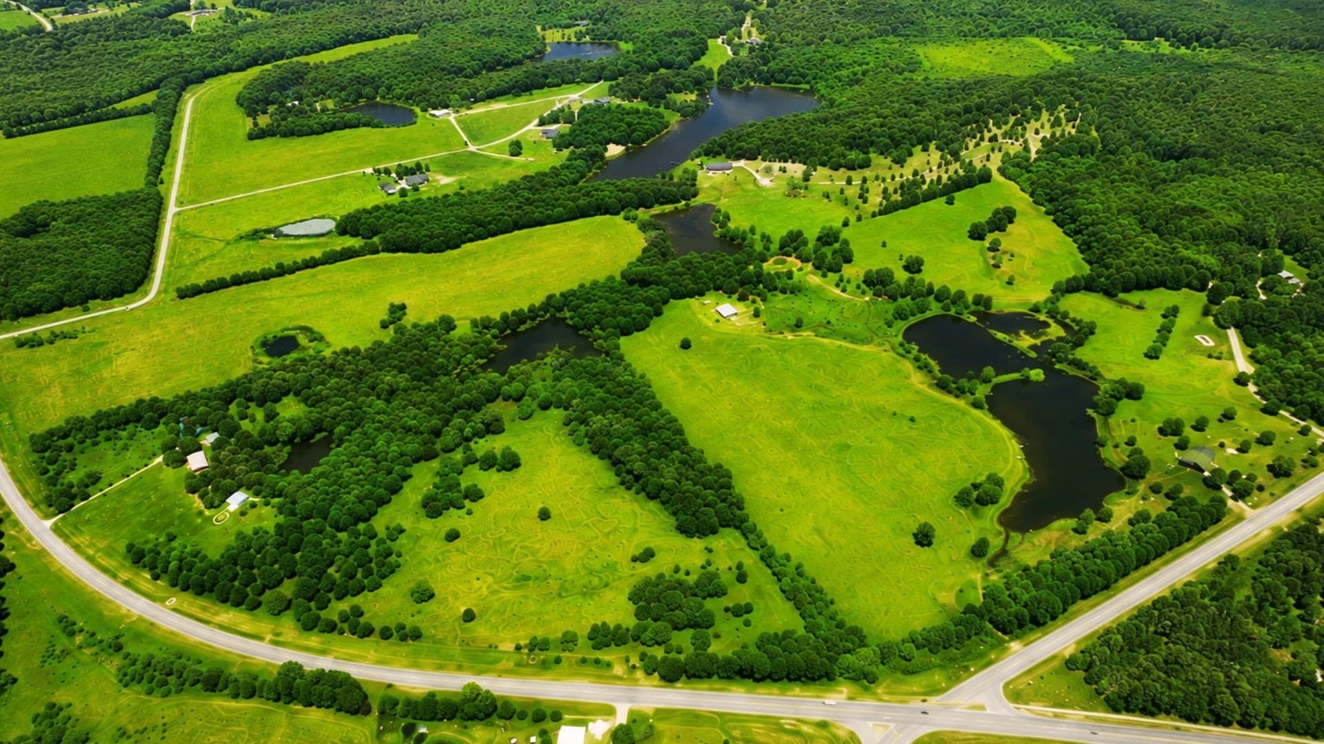 24.08 acres in Wood County - photo 6