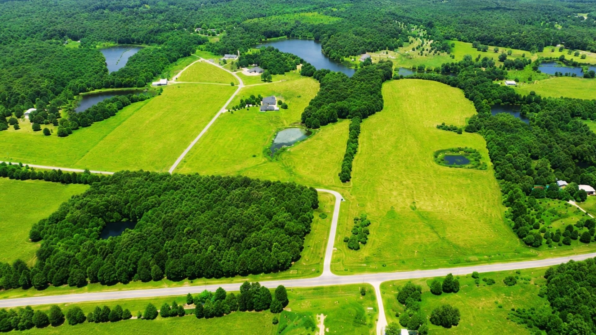 24.08 acres in Wood County - photo 5