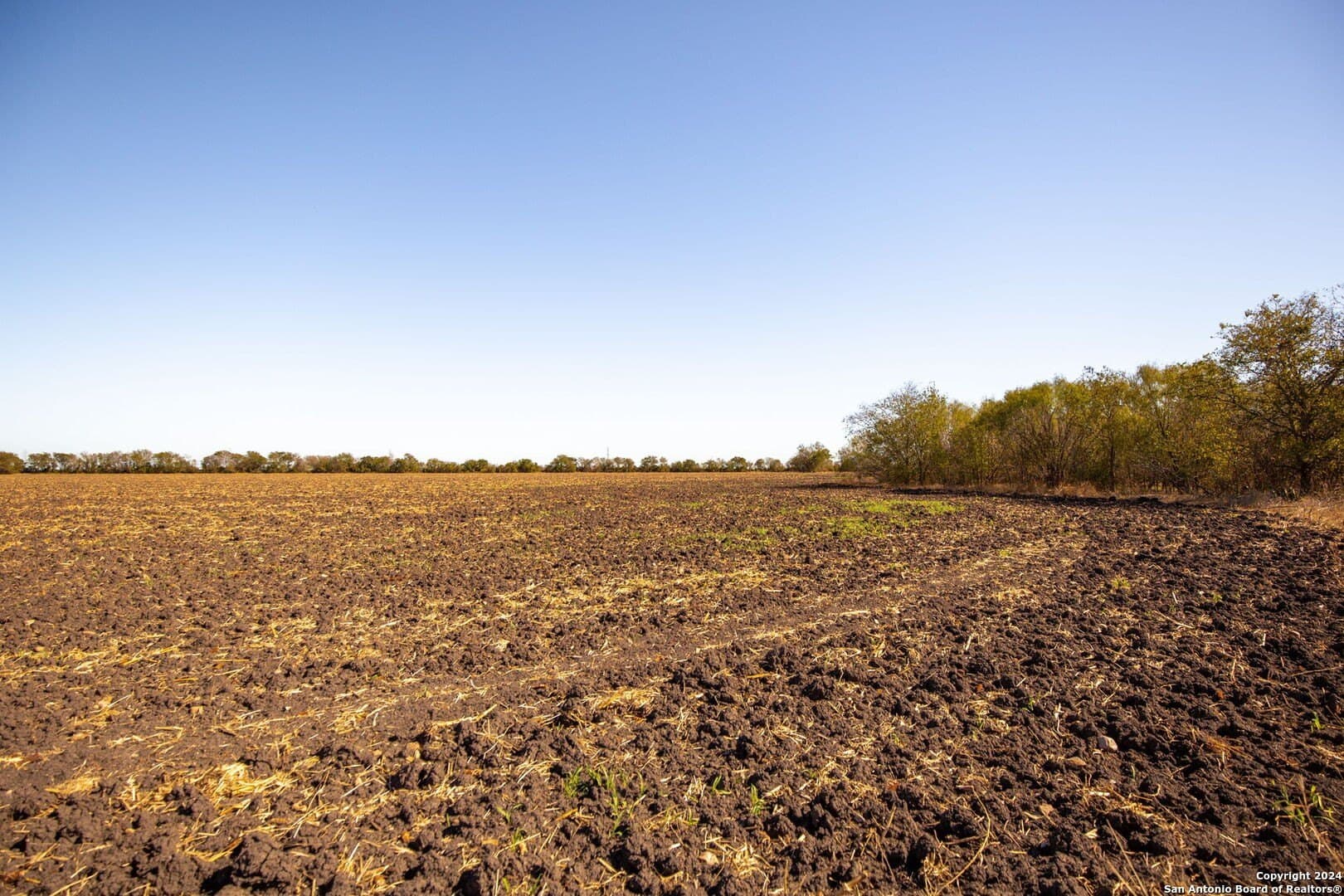 60.22 acres in Guadalupe County - photo 11