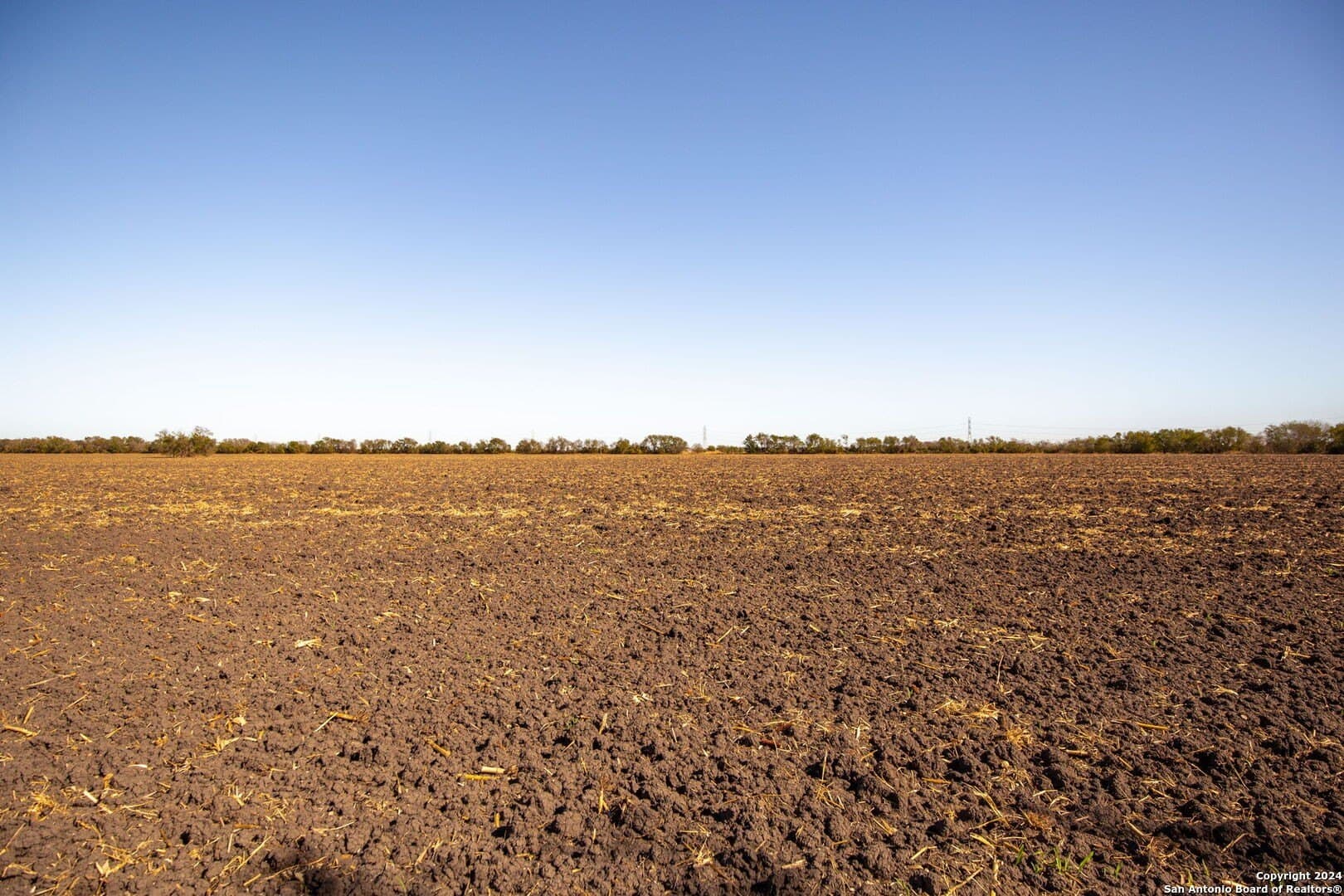 60.22 acres in Guadalupe County gallery image 3