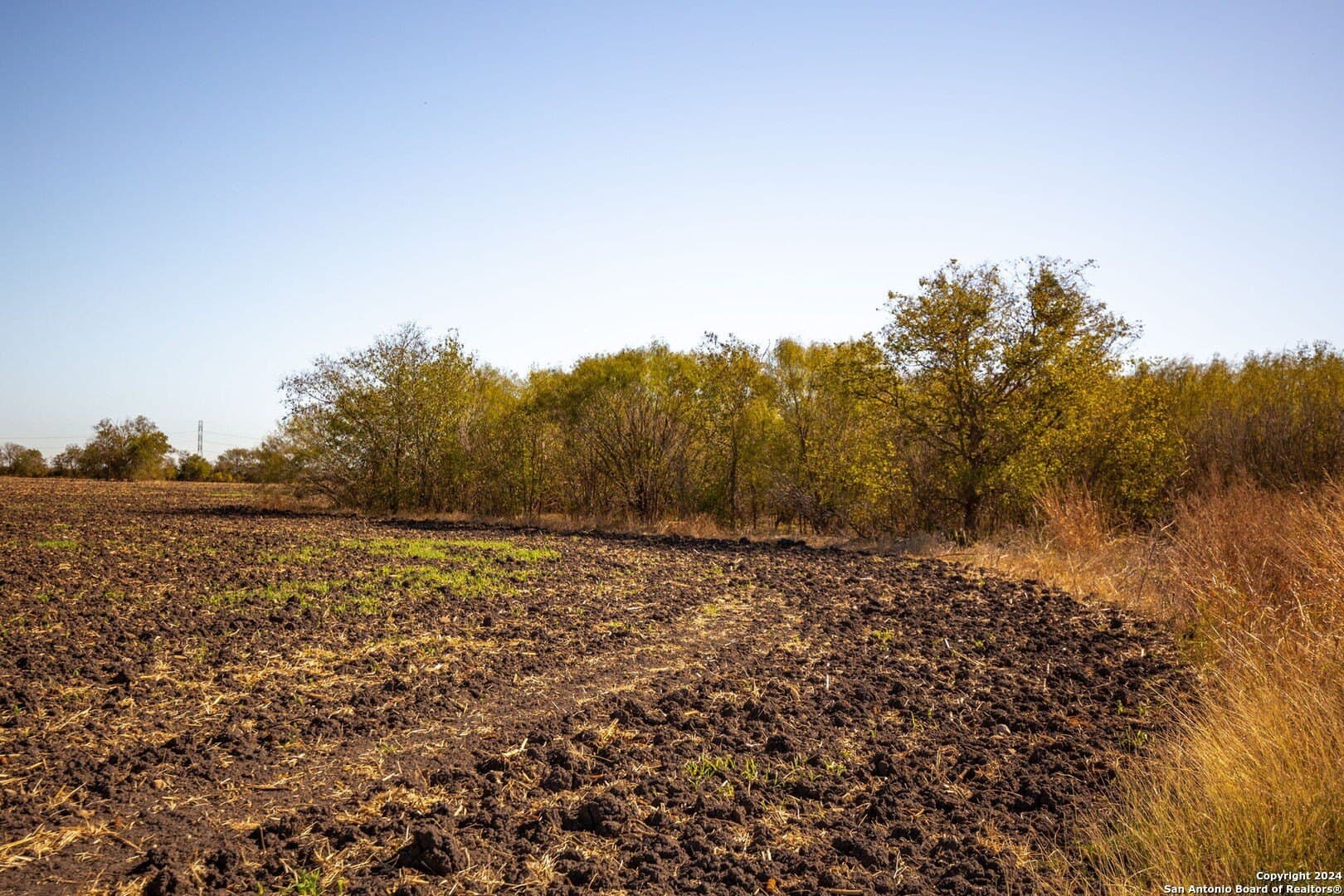 60.22 acres in Guadalupe County gallery image 4