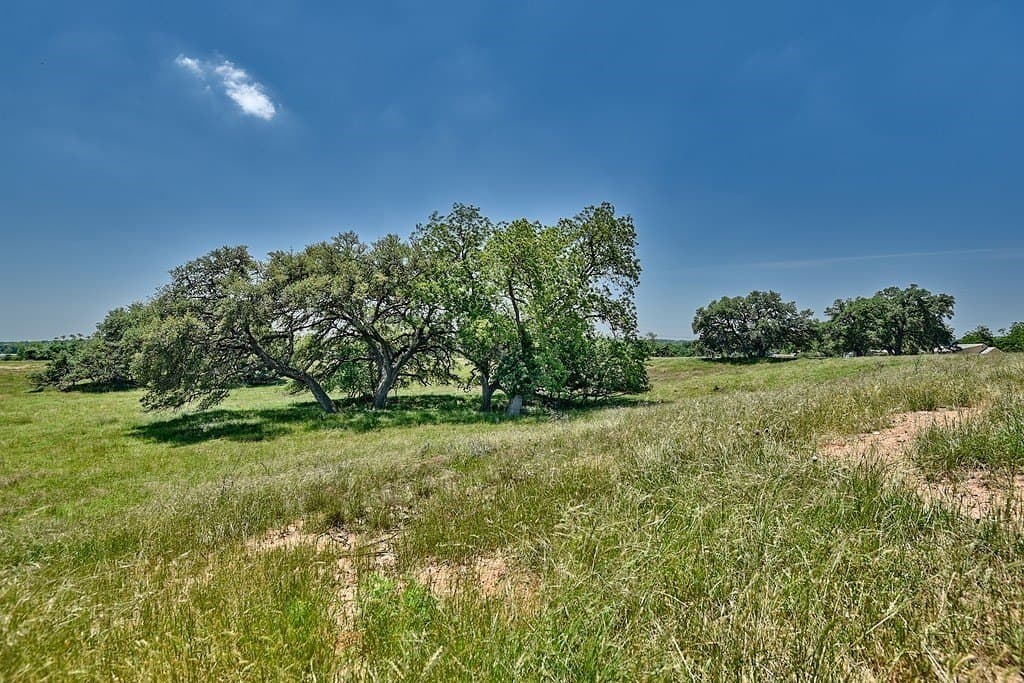 99.1 acres in Fayette County - photo 10