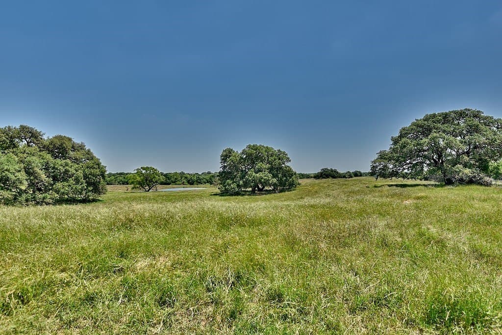 99.1 acres in Fayette County - photo 11