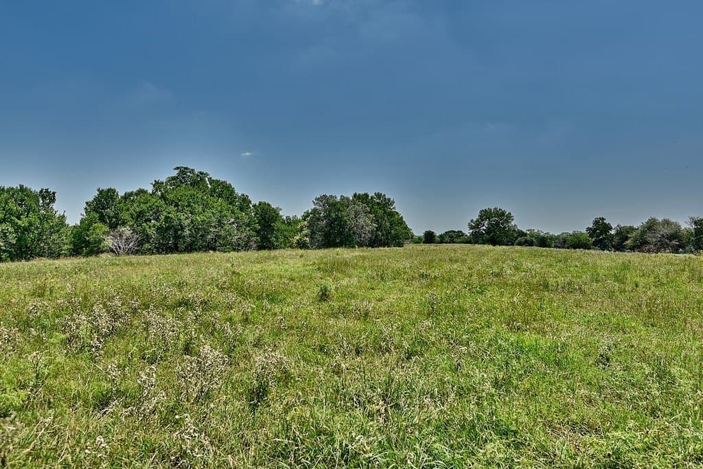 99.1 acres in Fayette County - photo 18