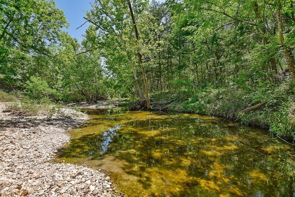 99.1 acres in Fayette County - photo 17