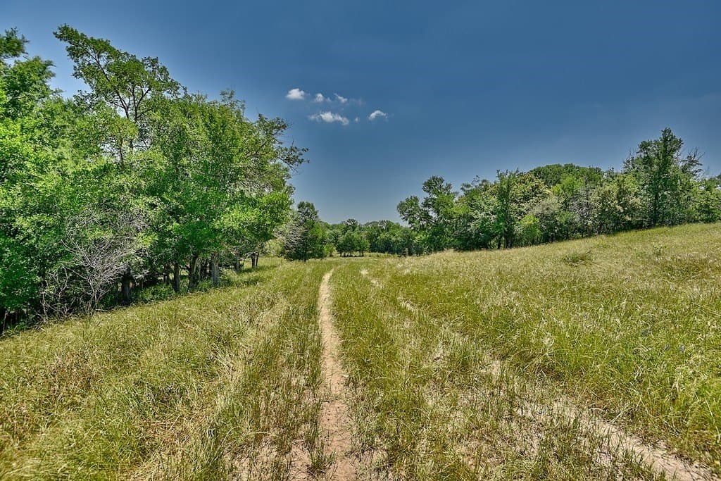 99.1 acres in Fayette County - photo 4