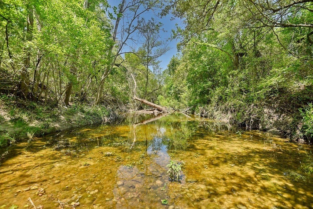 99.1 acres in Fayette County - photo 16