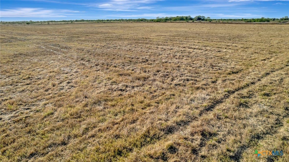 10.32 acres in Victoria County gallery image 2