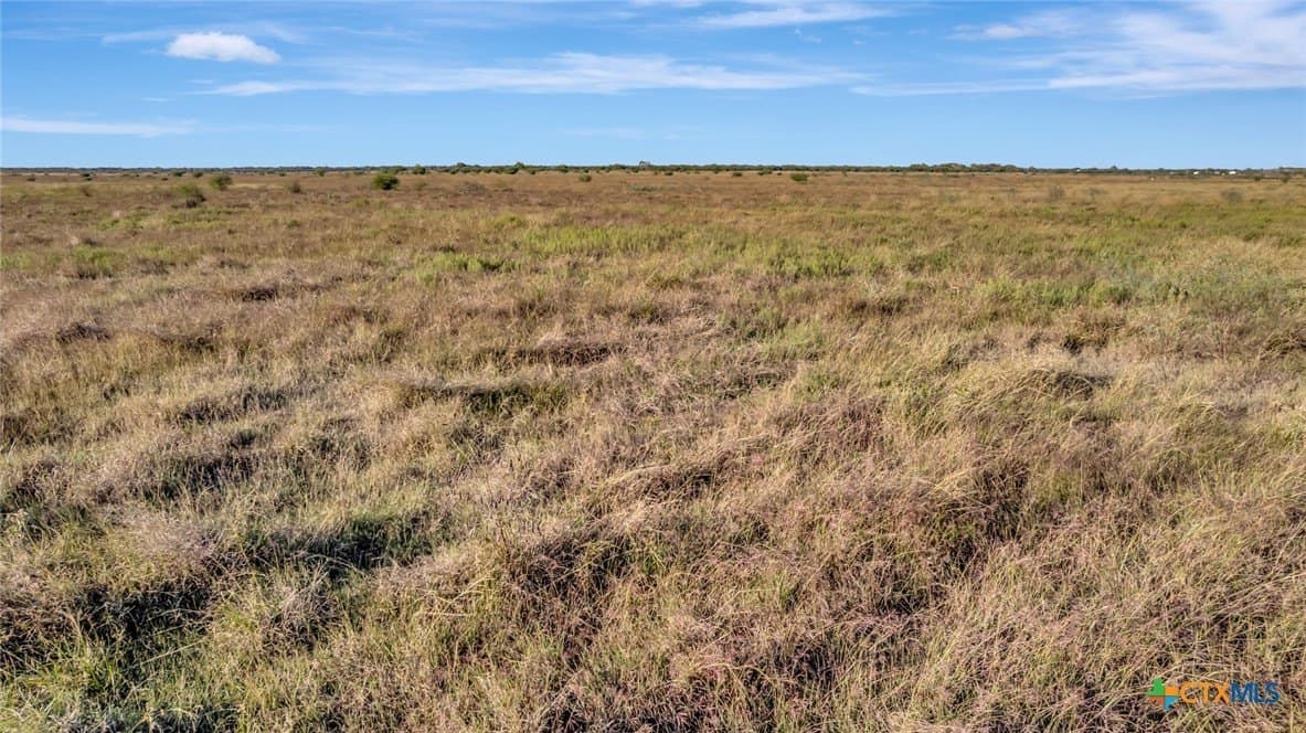 10.32 acres in Victoria County gallery image 4