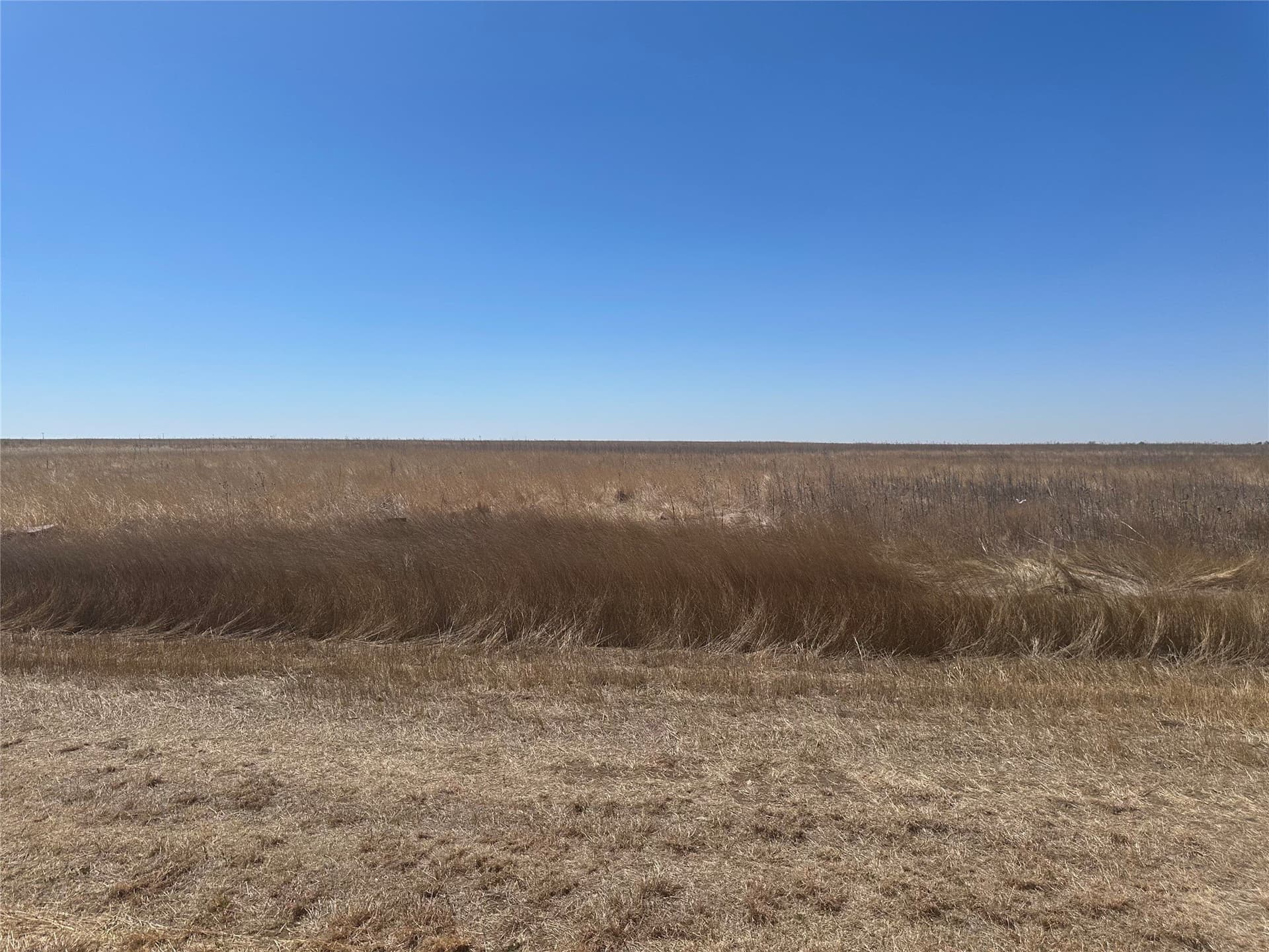 2 acres in Randall County gallery image 3