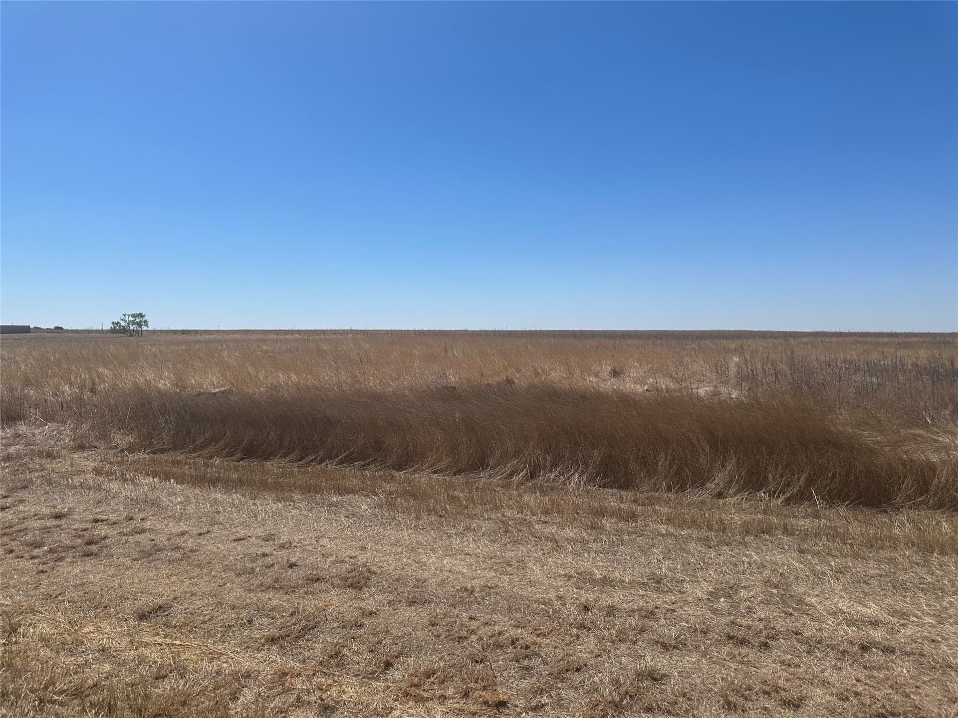 2 acres in Randall County gallery image 2