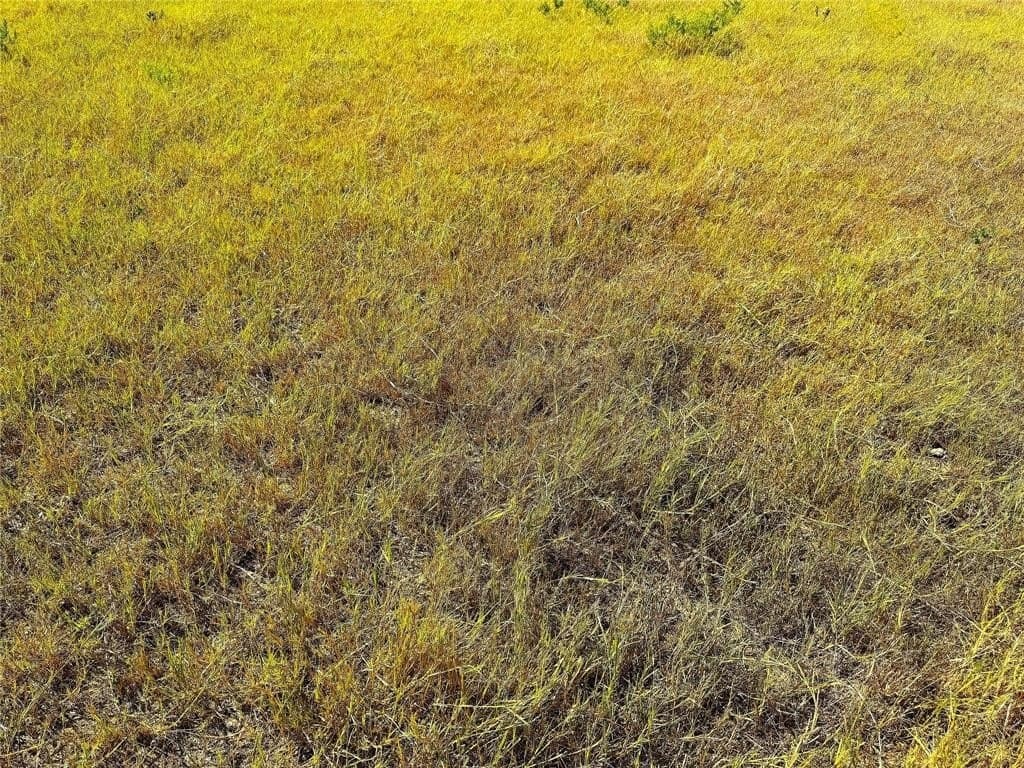 5 acres in Palo Pinto County featured view