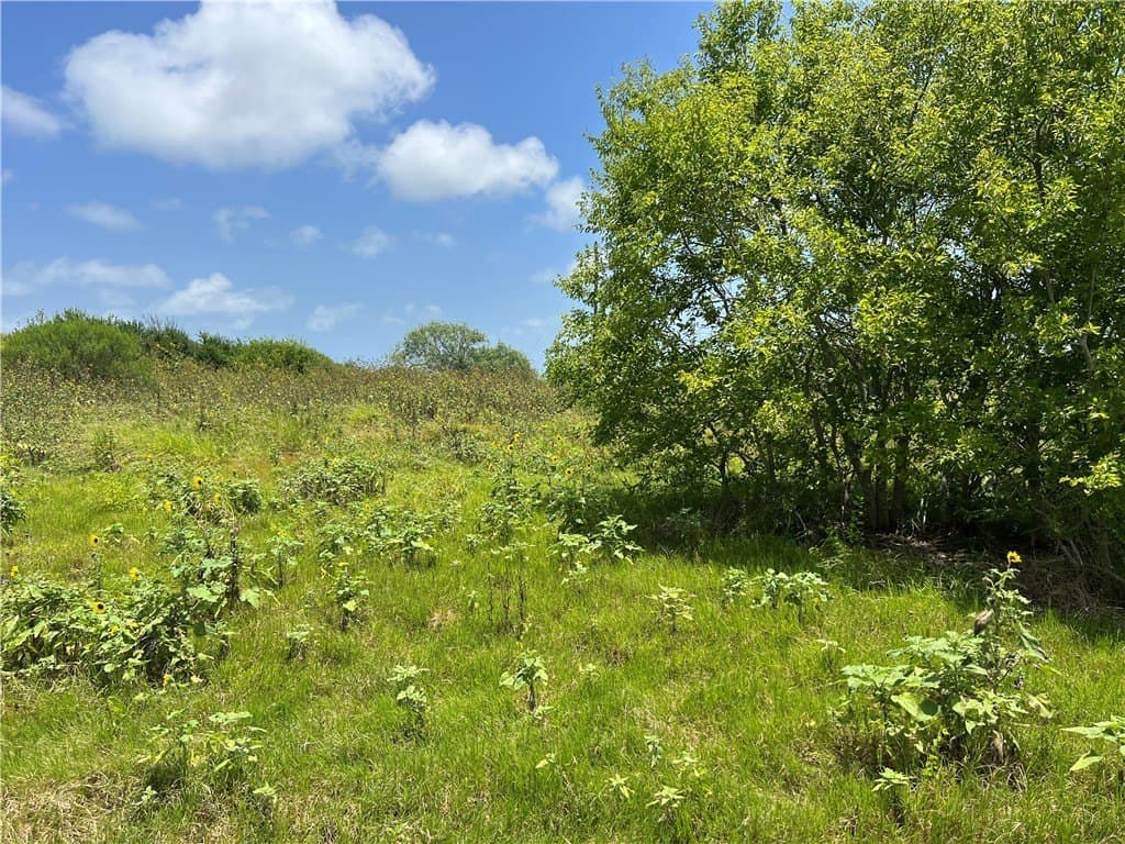 1.5 acres in San Patricio County - photo 14