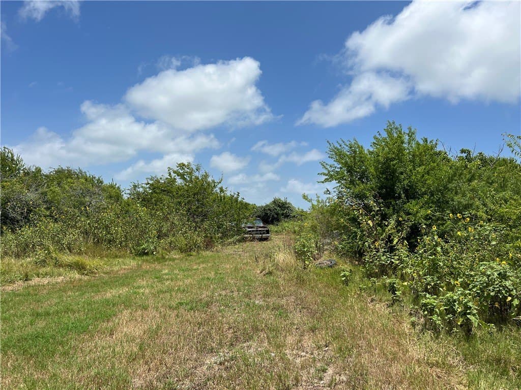 1.5 acres in San Patricio County - photo 10