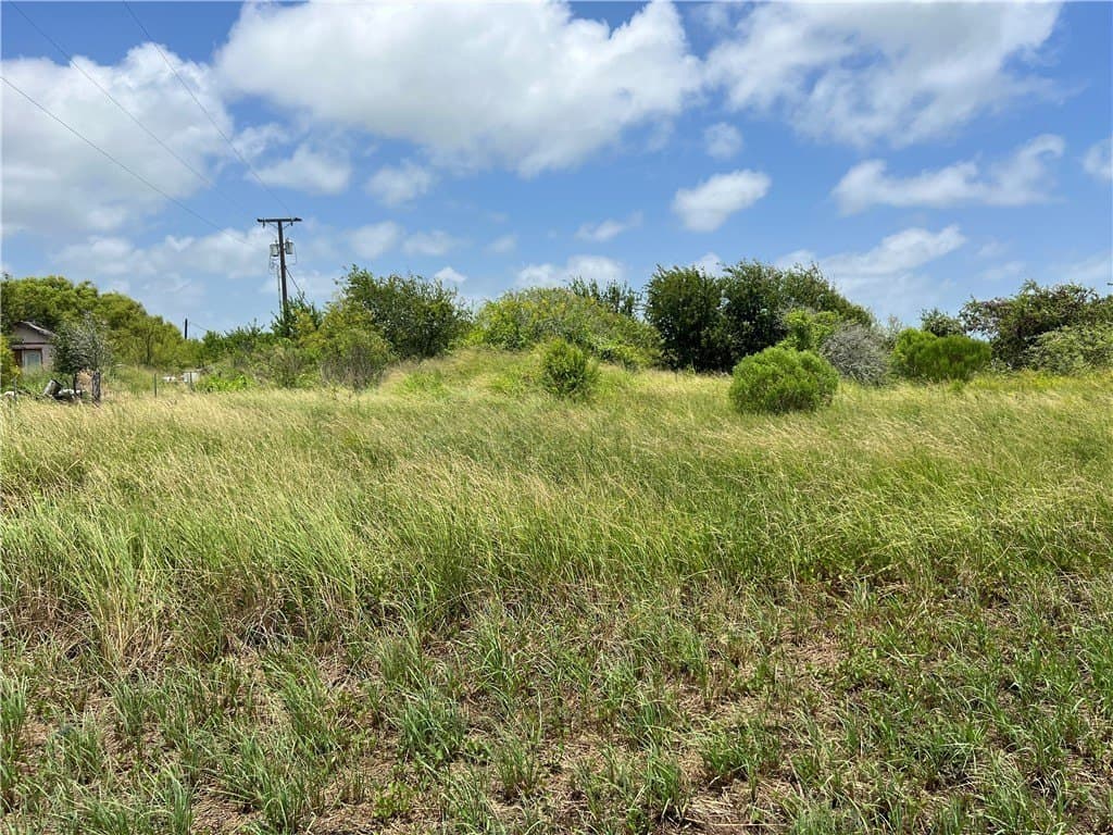 1.5 acres in San Patricio County - photo 21