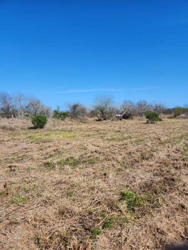 1.5 acres in San Patricio County - photo 26