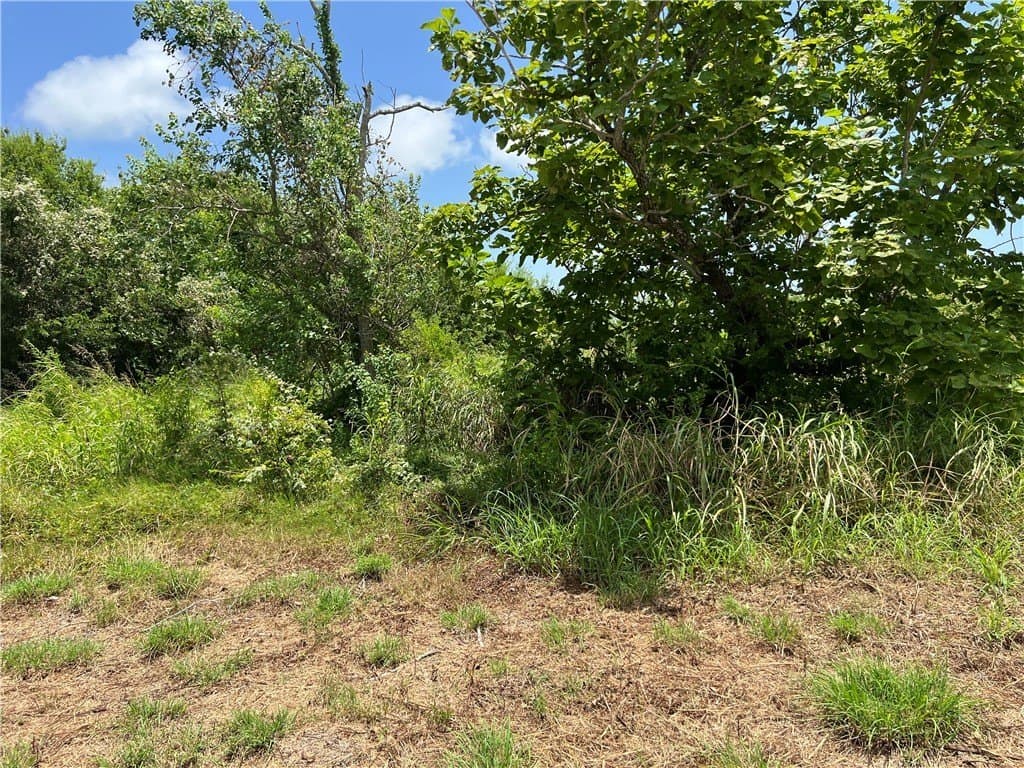 1.5 acres in San Patricio County - photo 15