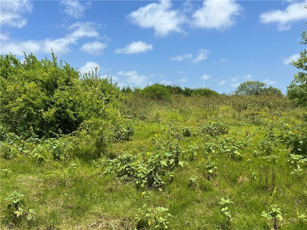 1.5 acres in San Patricio County - photo 17