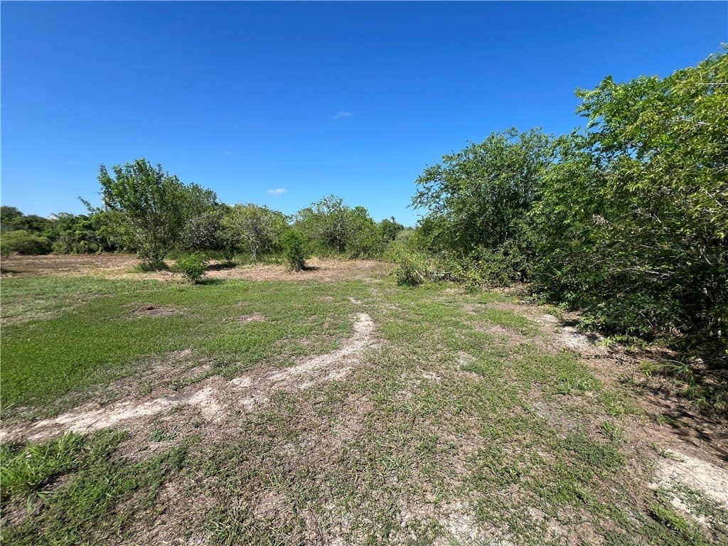 1.5 acres in San Patricio County - photo 13