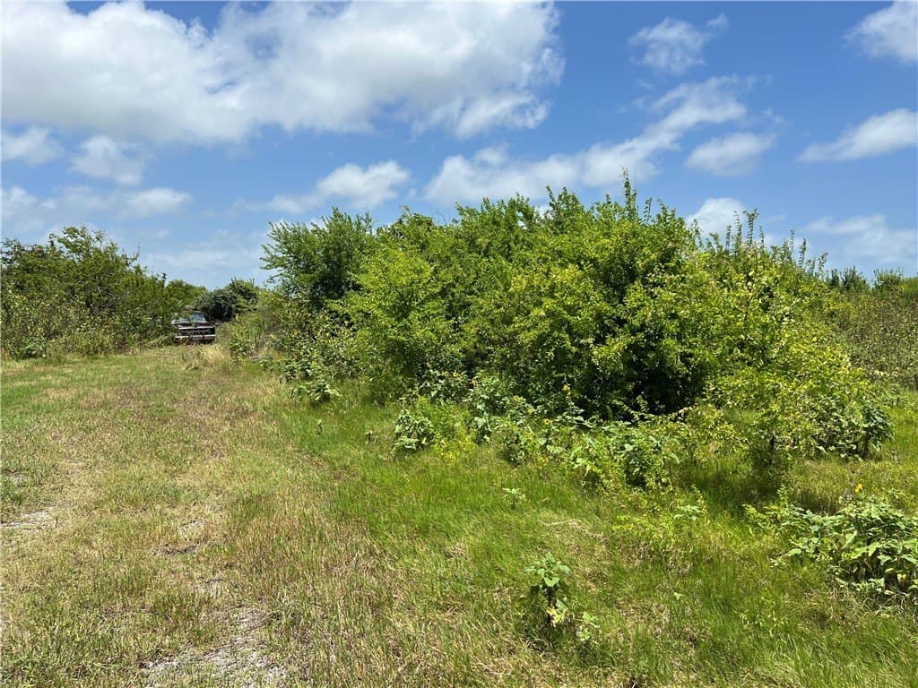 1.5 acres in San Patricio County - photo 16