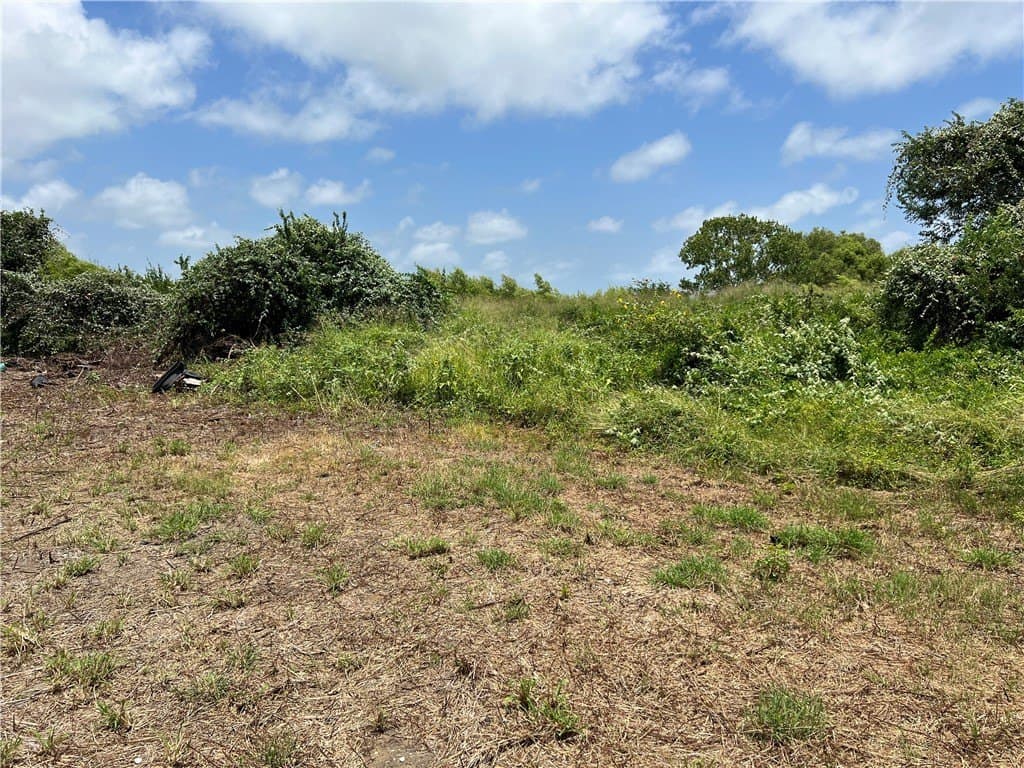 1.5 acres in San Patricio County - photo 9