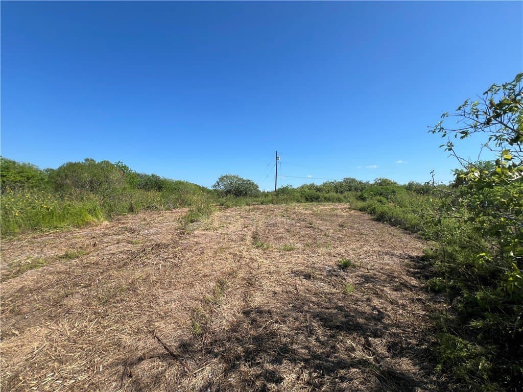 1.5 acres in San Patricio County - photo 12