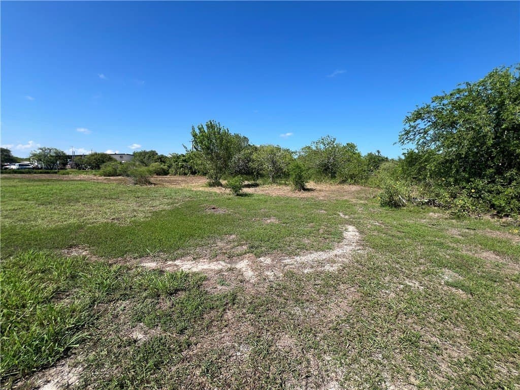 1.5 acres in San Patricio County - photo 6