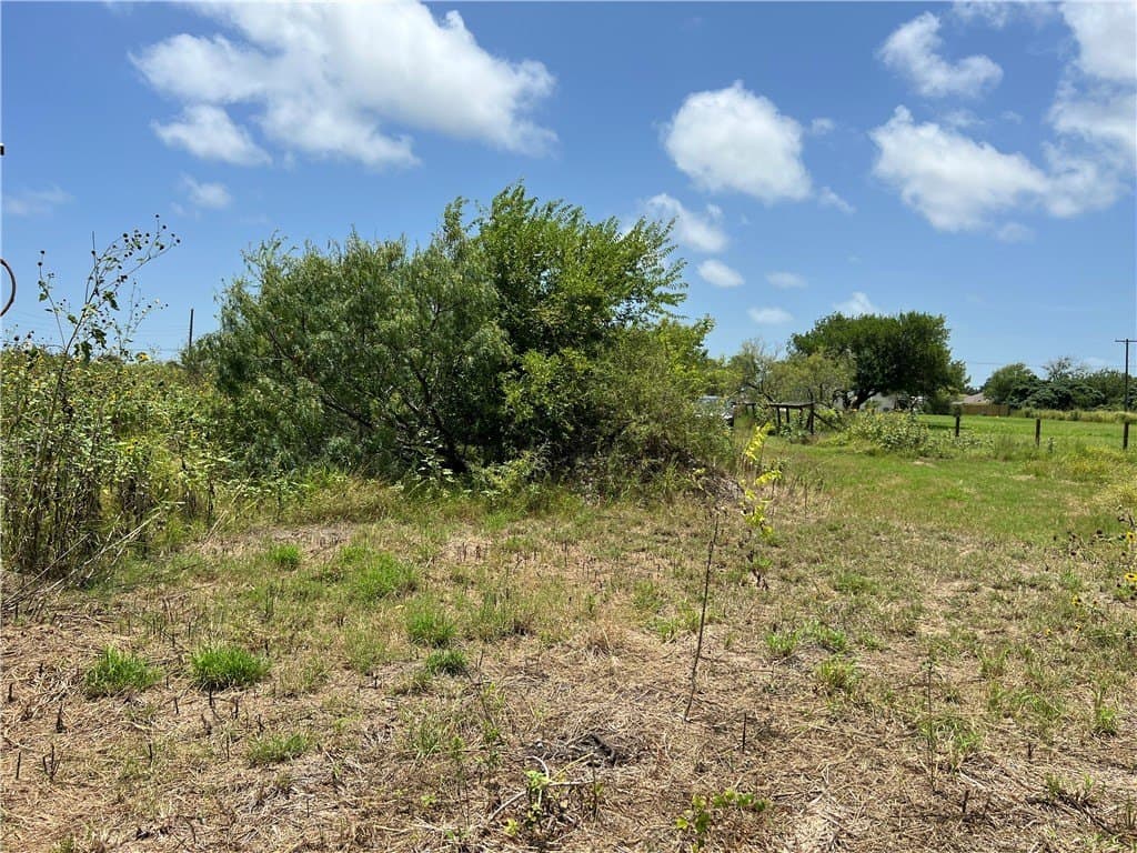 1.5 acres in San Patricio County - photo 20