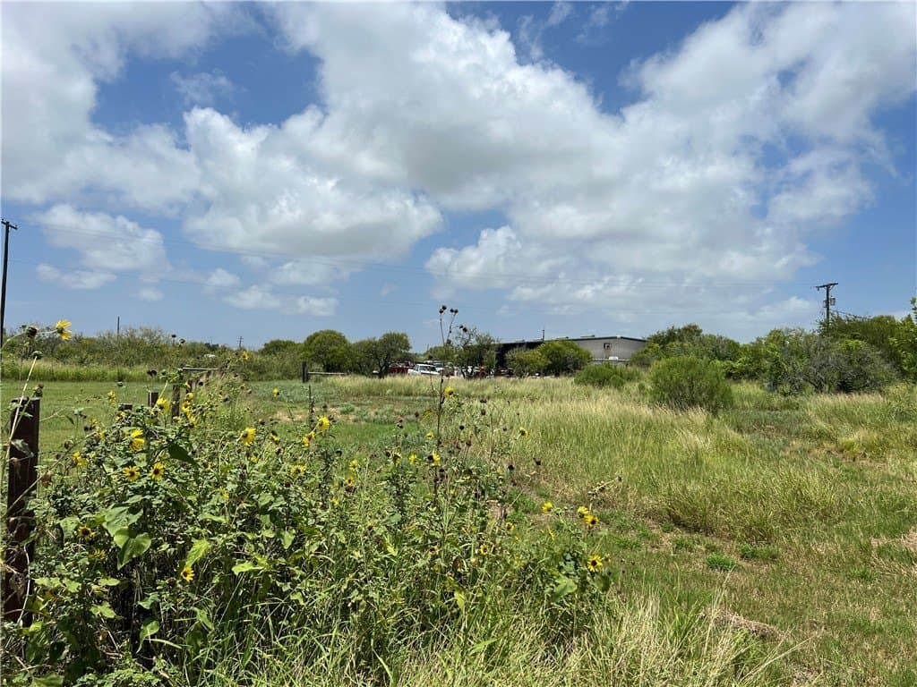 1.5 acres in San Patricio County - photo 18