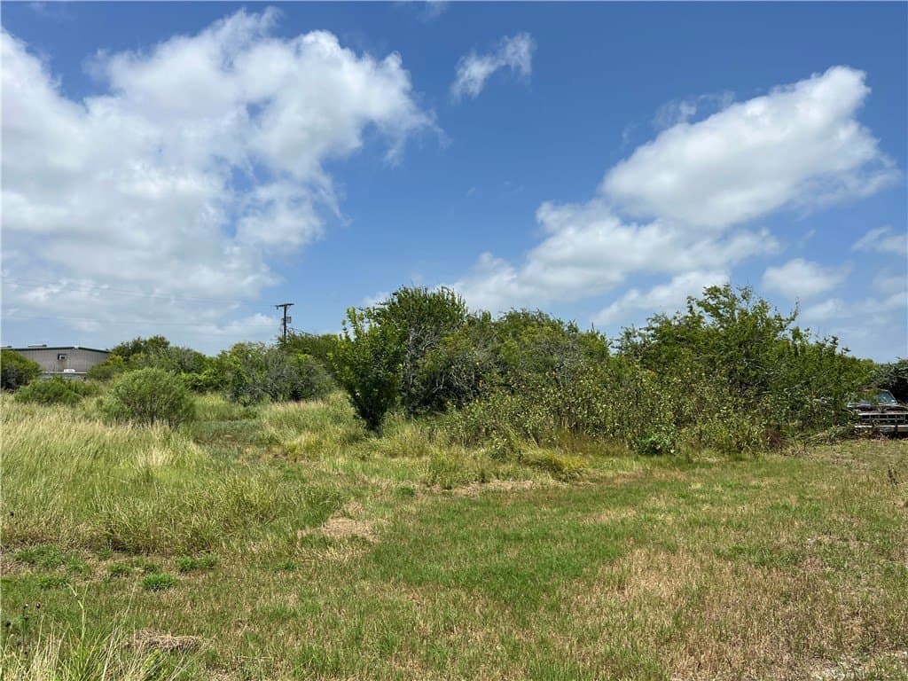1.5 acres in San Patricio County - photo 19