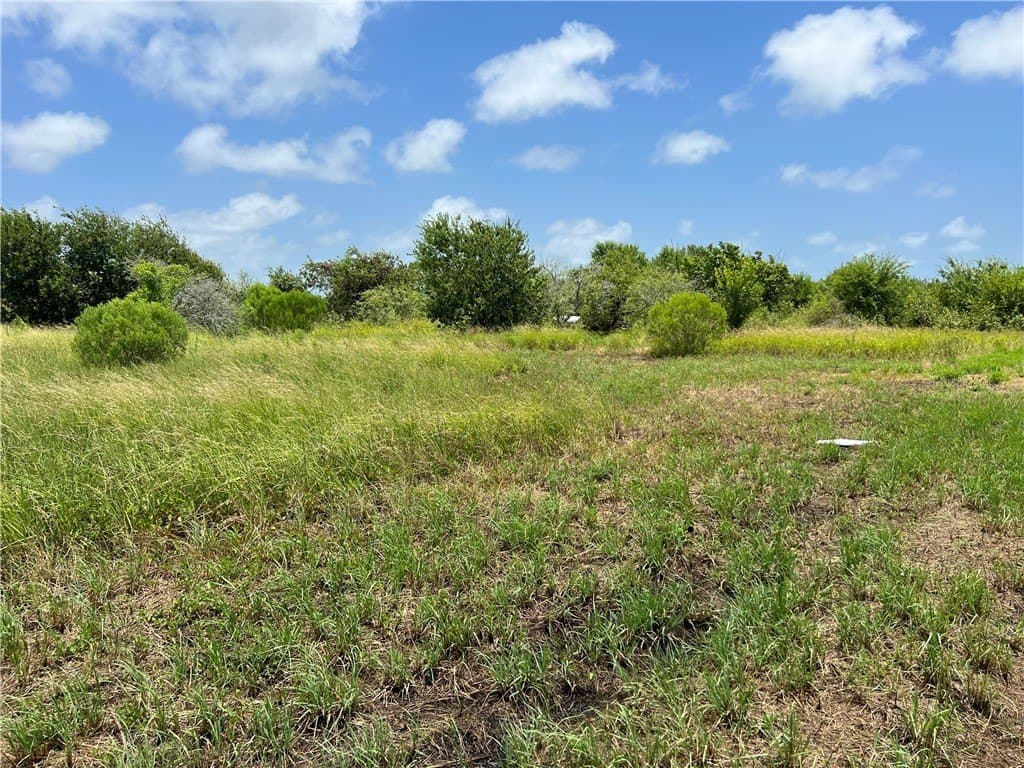 1.5 acres in San Patricio County - photo 7