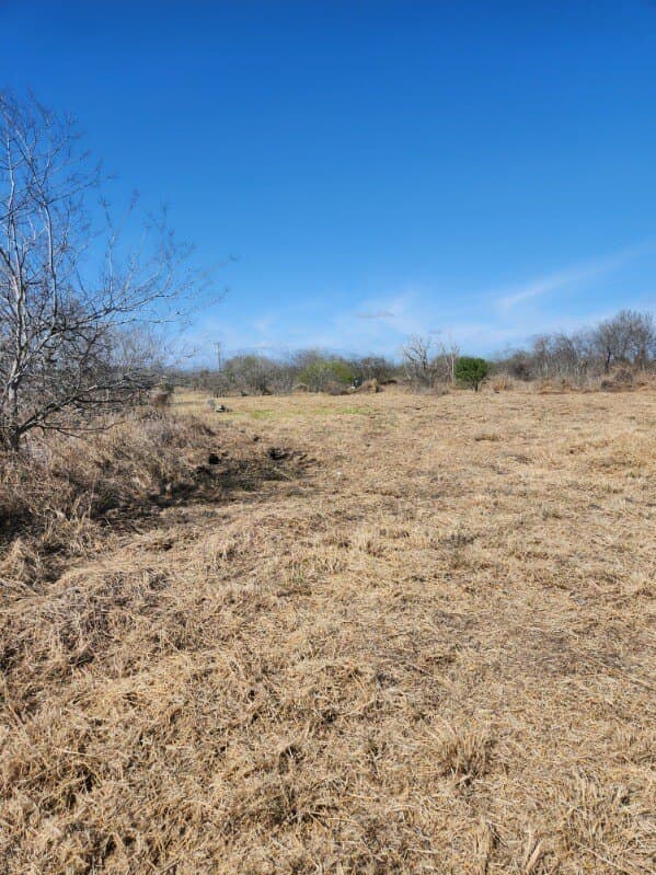 1.5 acres in San Patricio County - photo 25