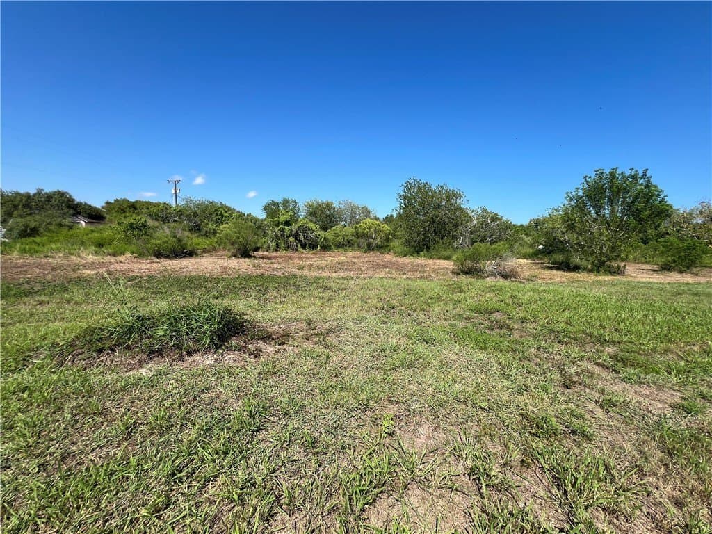 1.5 acres in San Patricio County gallery image 4