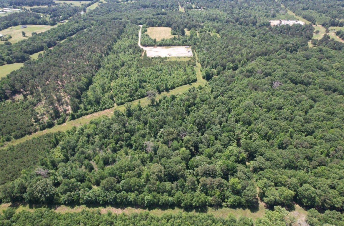 45 acres in Panola County