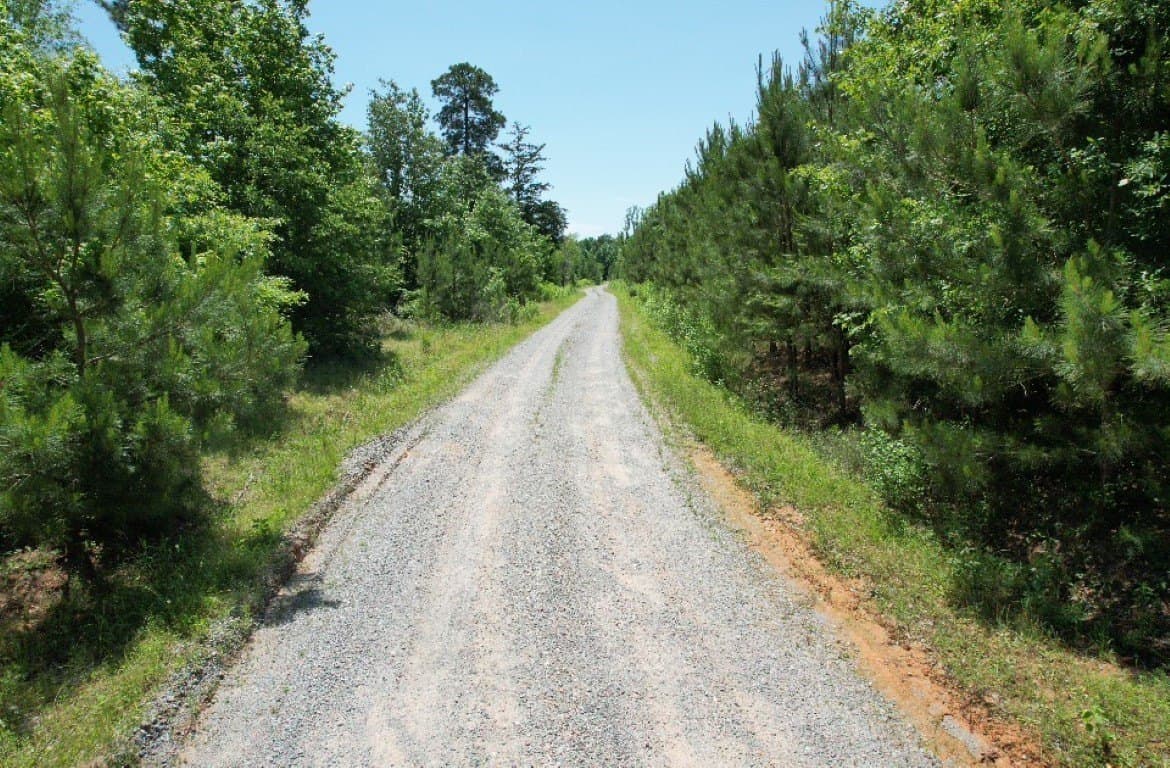 45 acres in Panola County - photo 27