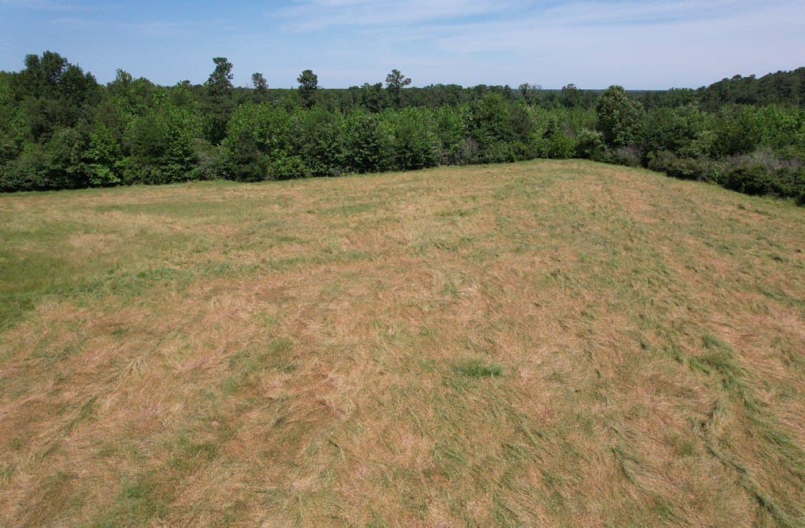 45 acres in Panola County - photo 22