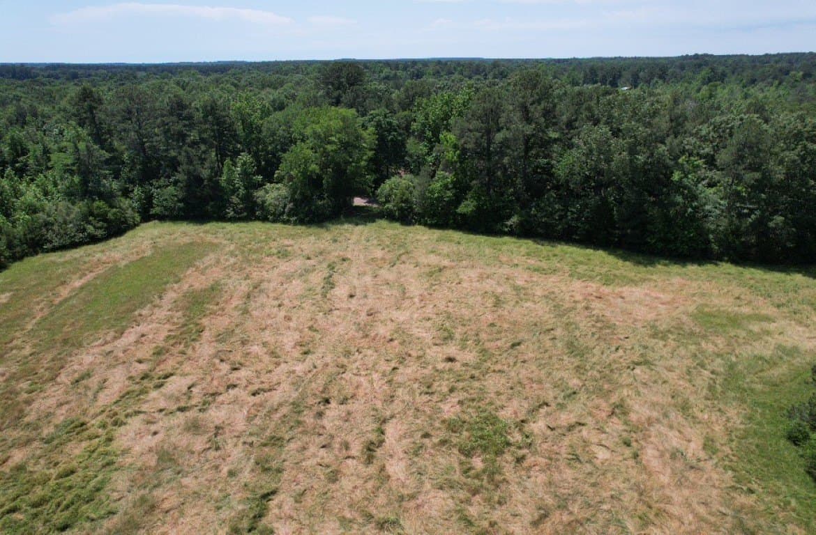 45 acres in Panola County - photo 17
