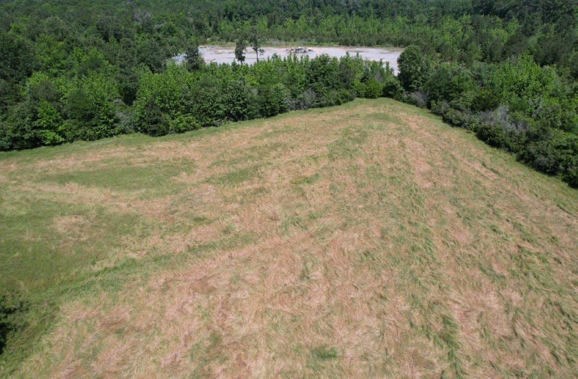 45 acres in Panola County - photo 15