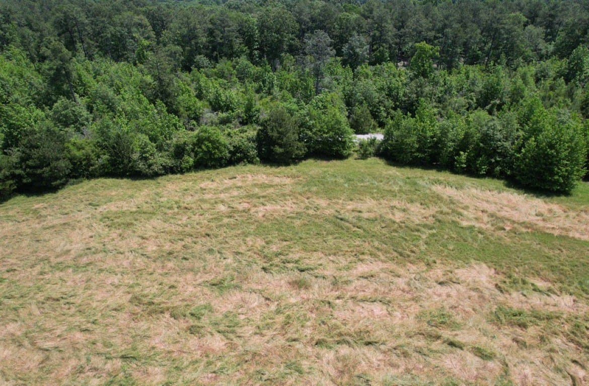45 acres in Panola County - photo 16