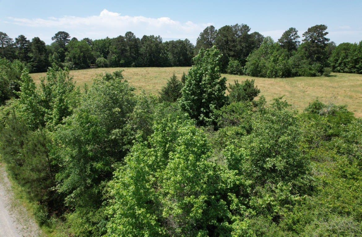 45 acres in Panola County - photo 31