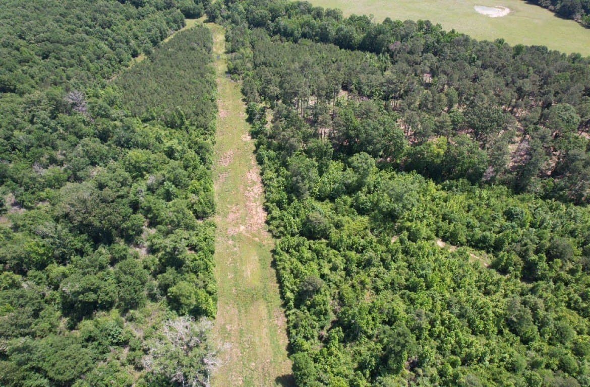 45 acres in Panola County - photo 5